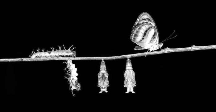 8d3cdf79b4_102435_05-1132